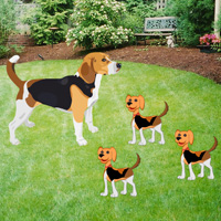 big-beagle-puppies-escape.jpg