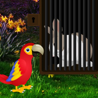 big-love-rabbit-escape.jpg