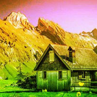 Dramatic Mountain Forest Escape