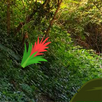 G2R Grand Forest Escape