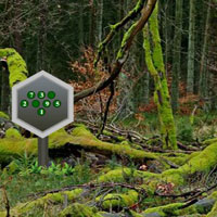Free online flash games - Parky Forest Escape game - WowEscape 