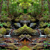 Free online flash games - Wet Evergreen Forest Escape Games2rule game - WowEscape 