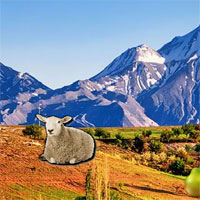Free online flash games - Mountain Sheep Escape game - WowEscape 