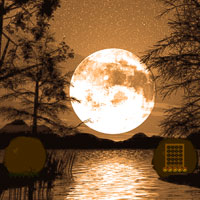 Eclipse Forest Escape Wowescape