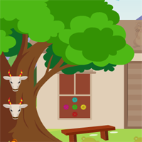 Free online flash games - AVM Escape The Adventure Forest Game game - WowEscape 