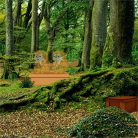 AvmGames Escape The Green Forest