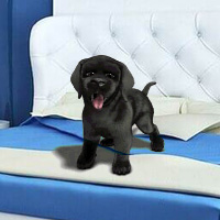 Free online flash games - Games2rule Cerulean House Escape game - WowEscape 