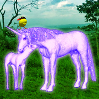 Free online flash games - Unicorn Fantasy Forest Escape game - WowEscape 