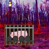 Forest Fire Rescue Games4Escape