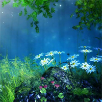 Magical Forest Fantasy Escape