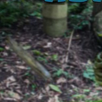 Free online flash games - FEG Escape Game Abandoned Distric game - WowEscape 