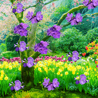 Free online flash games - Find the Kurinji Flower Tree game - WowEscape 