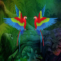 Aid The Couple Macaw HTML5