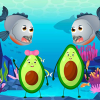 Avocado Fruit Pair Escape