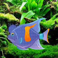 Free online html5 games - Blue Fish Escape game - WowEscape