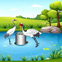 Care For The Pregnant Crane