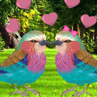 Colourful Bird Pair Escape HTML5