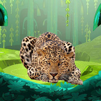Escape From Leopard Forest