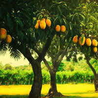Escape From Mango Farm HTML5