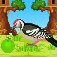 Free online html5 games - Escape From Parrot Jungle game - WowEscape