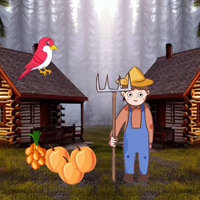 Free online html5 escape games - Farmer Searching Lost Goats