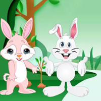 Free online html5 games - Find The Buddy Rabbit HTML5 game - WowEscape