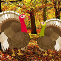 Free online html5 games - Find The Turkey Pair HTML5 game - WowEscape