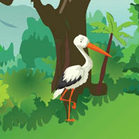 Free online html5 escape games - Finding Hungry Parrot