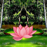 Flower Victoria Rain Forest Escape HTML5