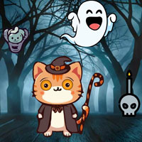 Halloween Cat Needs Candy