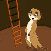 Free online html5 games - Help The Meerkat HTML5 game - WowEscape