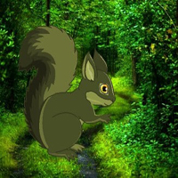 Help The Trouble Squirrel HTML5