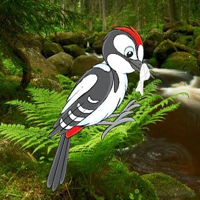 Free online html5 games - Help The Troubled Woodpecker HTML5 game - WowEscape