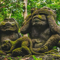 Monkey Statue Forest Escape HTML5