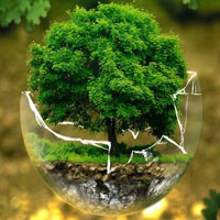 Nature Of Tree World Escape HTML5
