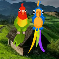 Free online html5 escape games - Pair Macaw Escape HTML5