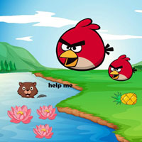 Free online html5 escape games - Preserve Dangerous Situation Squirrel