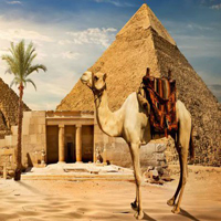 Pyramid Egypt Desert Escape