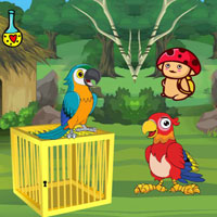 Free online html5 escape games - Release Trapped Macaw Buddy