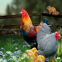 Free online html5 games - Save The Hen Family HTML5 game - WowEscape
