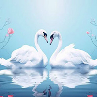 Save The Swan Mother Child