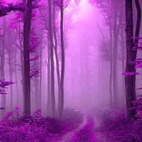 Free online html5 games - Soothink Purple Forest Escape HTML5 game - WowEscape