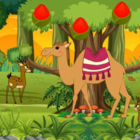 Free online html5 escape games - Stucked Camel Reach Desert