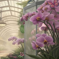 Free online html5 escape games - Orchid Showv