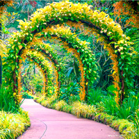 Free online html5 games - City Botanic Garden Escape game 