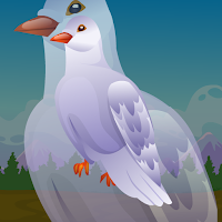 Free online html5 games - G2J Wild Pigeon Escape game 