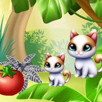 Free online html5 escape games - G2M The Final Peel