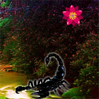 Free online html5 games - G2R Black Scorpion Forest Escape game - WowEscape 