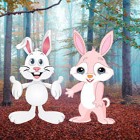 Free online html5 games - G2R Discover Rabbit Companion game 