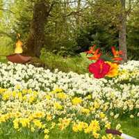 Free online html5 games - Thanksgiving Lush Forest Escape game - WowEscape 